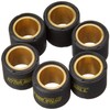 Vicma variator weights Maxi Scooter 19x17 – 10.00g – set