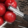 Apple Corer 2 PCS, Fruit Vegetable Core Remover for Apple,