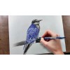 Zebra J-roller Le Rollerball Tinta Gel 0.7 Mm Caja 6