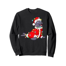 Seals Christmas Lights Santa Costume Cute Animal Xmas Sweatshirt