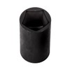 Rauckman Penta Socket With 1/2" Drive and 13/16" 5-Point Utility