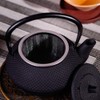 PATKAW Cast Iron Teapot Japanese Tetsubin Kettle Stovetop Tea Kettle