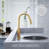 FORIOUS Gold Kitchen Faucet with Pull Down Sprayer, Kitchen Faucet