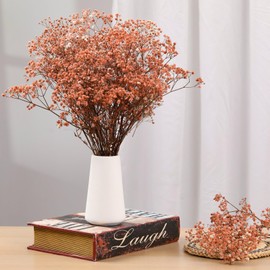 Babys Breath Dried Flowers Bouquet-17'' 3200+ Ivory Dry Flowers, Natural Gypsophila Branches for Wedding, Home Table Vase Decor, DIY Wreath Floral, Fall Thanksgiving Autumn Decoration (Brown, 3.5oz)