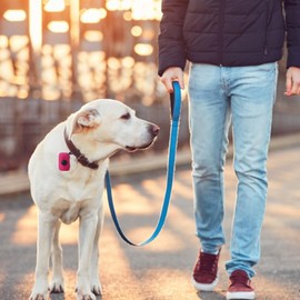 POCHY Dog Poop Bag Holder | Mesh Fabric Attachment Bag Holder with Zipper - Portable Dog Poop Holder, Fashion Pet Supplies for Walking, Outdoor, Training