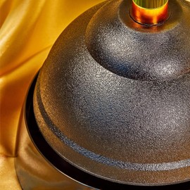 The Plunger Premium Acrylic Toilet Plunger - Colorful Cute Toilet Plunger Complete with Sleek Drip Tray Ideas - Available in Pink, Purple, Green, Blue, and Orange - Gift for Mom