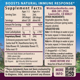 WishGarden Herbs Kick-It Immune for Kids - Plant-Based Herbal Immune Booster with Echinacea, OSHA, Elderflower, Rapid Childrens Immune Support Formula, 4oz