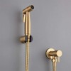 Toilet Hand Held Bidet Sprayer - Antique Brushed Gold Faucet
