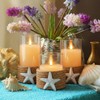 Baquler 3 Pcs Beach Starfish Plastic Flameless LED Battery Candle