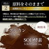 渡邊薬品 超微粉純末 天然メシマコブ 純末100% 30g (1)