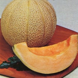 Top Mark Melon (Cucumis melo) Cantaloupe Vegetable Seeds, Sweet, Juicy, and Aromatic Flesh, Large Size, Fast Growing, Seeds by MySeeds.Co, You Choose The Amount (1 oz)
