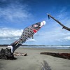 In the Breeze Koi Fish Windsock, 60-Inch, Black