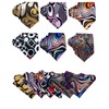 Barry.Wang Men Tie Classic Silk Gift Necktie With Tie Clip