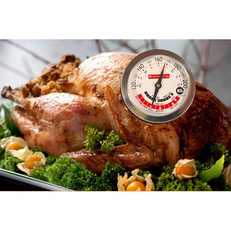 Everday Living Meat Thermometer