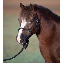 Professional's Choice Easy On Pony Rope Halter W/Lead | Mini Size |Pink