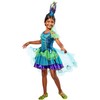 Peacock Costume, Small One Color