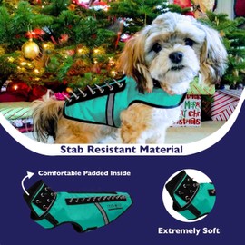CoyoteVest SpikeVest Dog Harness Vest for Small Dogs, Reflective Dog Vest with Spikes to Shield Your pet from Coyotes, Raptor and Animal Attacks, Anti Hawk Vest, Made in USA (M-Turquoise)