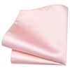 Branduce Blush Pink Tie for Men Wedding Light Pink Necktie