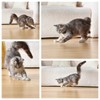 MZINGALL Automatic Cat Toys Laser Collar with Red Light, Interactive