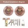 Double Cylinder Deadbolt Keyed, Double Keyed Deadbolt Lockon Both Sides