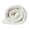 Madison Park Coleman Cozy Reversible Blanket, Luxury Plush Season Down