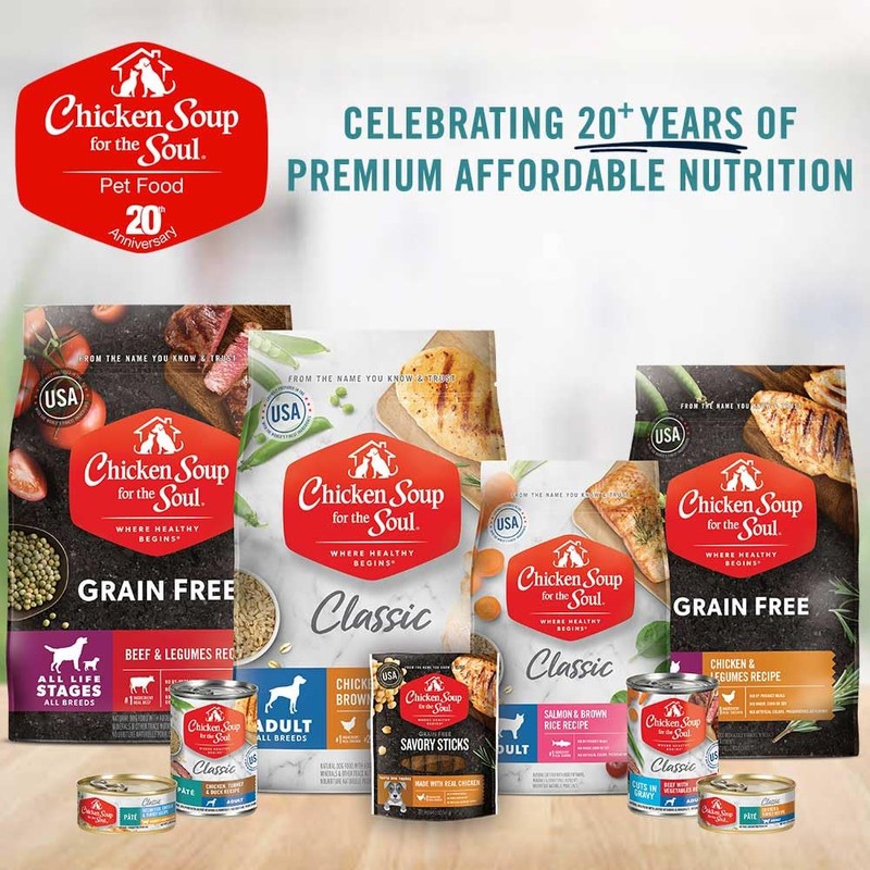 Chicken Soup for the Soul All Natural Premium Savory Sticks