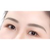 Plus Nao Eyebrow Template, Double Eyebrow, Set of 52, Sticking,