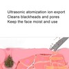 Professional Skin Spatula MultiFunctional Facial Skin Scrubber Pore Cleaner with