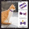 EXPAWLORER Breakaway Cat Collar with Bells- 2Pcs Adjustable with Bowtie