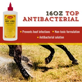 Dr. Naylor Hoof 'N Heal, Hoof Rot Foot Rot Wound Care, 16oz, Sheep Goat Cow Horse, 1-pack