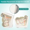Injection Lower Face Training Model, Transparent Facial Injection Model with