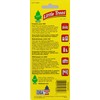 LITTLE TREES Car Air Freshener | Hanging Paper Tree for