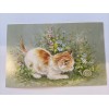 Vintage Kitten Snail Flowers Postcard Unposted Red Farm Studios