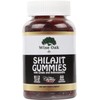 Wise Oak Shilajit Gummies 500mg with Chaga Ashwagandha B12 and D2 Vitamins - Black Cherry Flavored Naturally Vegan Ayurveda Humic Fulvic Acid and Trace Minerals - Pure Himalayan Shilajit Supplement