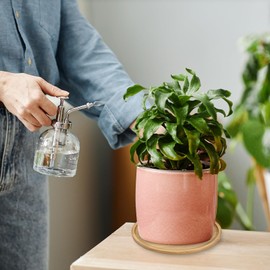 TIXIPEM Plant Pot Saucer [2PCS] - Round Flower Drip Tray Use for Indoor & Outdoor & Garden & Potted Plants - 5IN Outer Diameter Bamboo Plant Tray Flower Pot Saucers