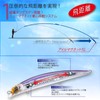 DUEL(デュエル) アイルマグネット TG ダータースリム 145mmフローティング 29g ホロレッドヘッド 遠投 重心移動