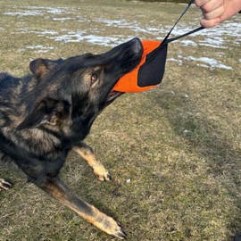 Dingo Gear Cube tug Toy for Dogs, French Linen bite Toy with one Handle, Durable Toy for Fetch and tug of war, Orange, S02778