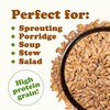 Food to Live - Organic Einkorn Wheat Berries, 10 Pounds