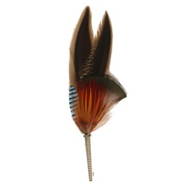 Breiter Real Hat Feather Hat Pin by Duck Pheasant Jay Handmade Accessory for Costume Hat Including Sleeve 11 x 3 cm, Colourful