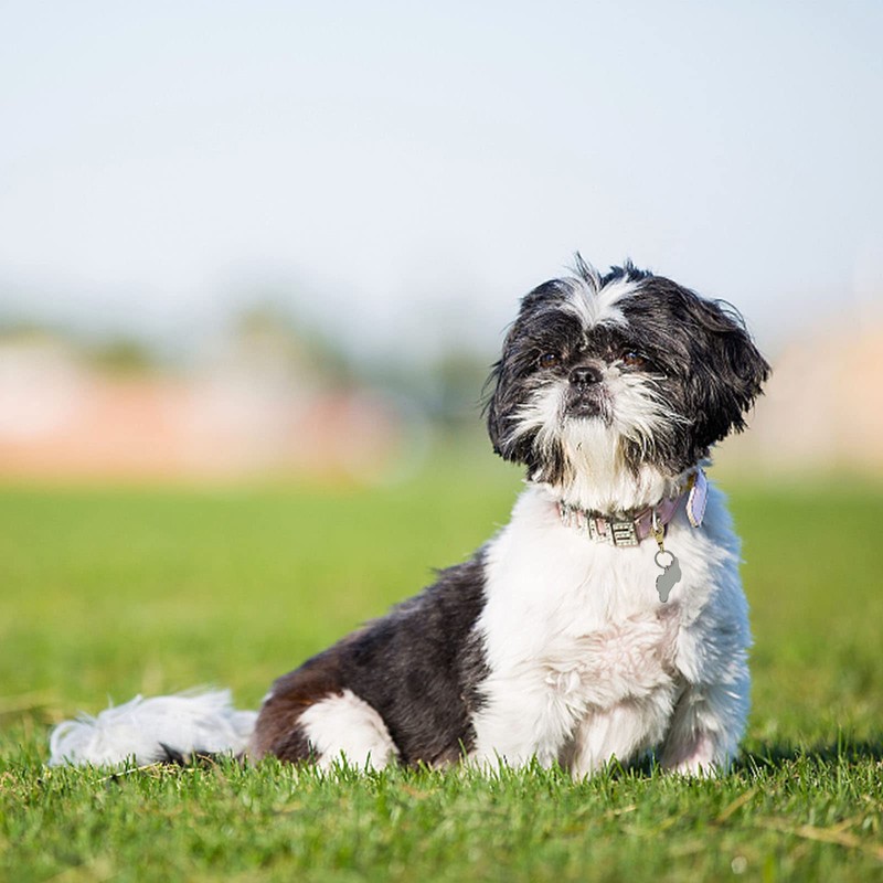 DORUI Dog Tag Clips 2 Pack Easy Change for Pet