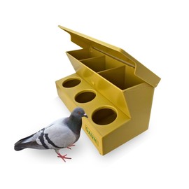 Gaun Pigeon Feeder and Waterer with 3 Hole – Automatic Bird Water Dispenser and Food Feeder for Pigeons, Doves, Quails, Ducks, Chickens – Cage Accessory for Poultry Care