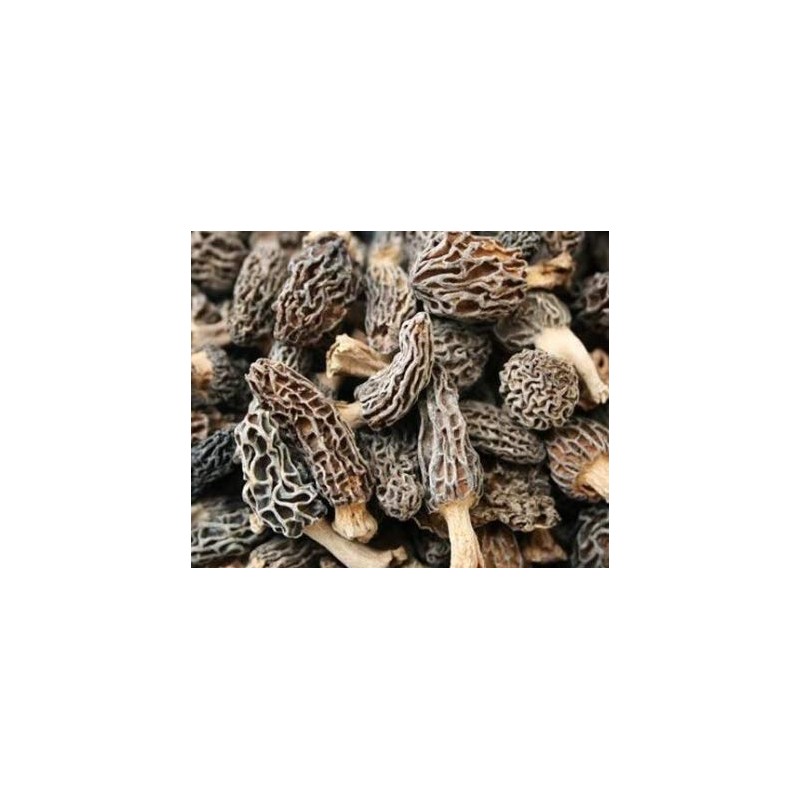 Dried Morel Mushrooms 4 oz