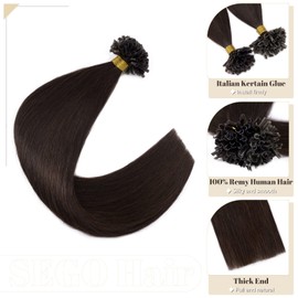 16 inches SEGO Pre Bonded Hair Extensions Real Remy Human Hair [0.5g*100 Strands] #2 Dark Brown Keratin Nail U Tip Invisible Straight (50g)