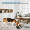 Uppetly Tilted Angle Dog Bowl, 15° Slanted Stainless Steel Dog