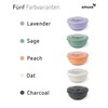 Amuse Tylla Bowl Food Storage Containers with Lid for the