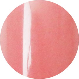 Vetro No. (A Little Bit Of... 19 4-Colored Gels Sheer vl397 tyousyuniro 4ml