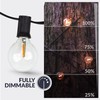 Newhouse Lighting PSTRINGLEDDIM G40 String Weatherproof Technology, 100W Dimmer with