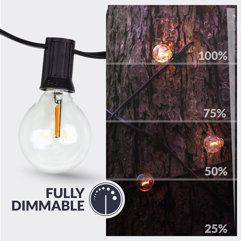 Newhouse Lighting PSTRINGLEDDIM G40 String Weatherproof Technology, 100W Dimmer with