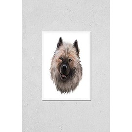 Poster Reproduction of Keeshond, Dutch Barge Dog, German Spitz dog digital art illustration isolated on white background. Holland origin northern breed dog. Pet hand drawn portrait. Graphic clip