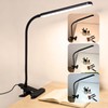 H HNMA HN LED Desk Lamp with Clamp for Reading,Nail